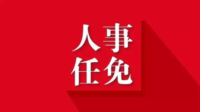 保定市最新人事任免概览及调整动态