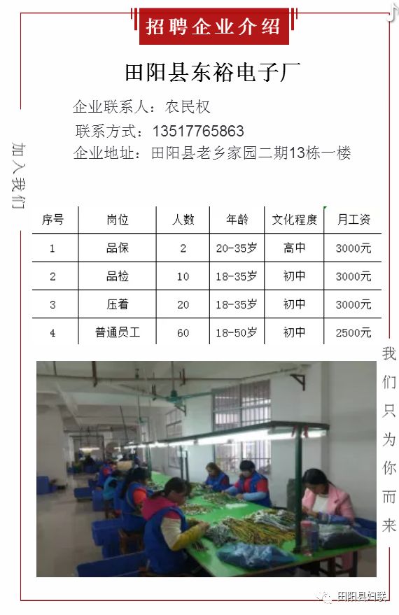 田阳商域最新招聘信息全面解析